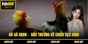 đá gà hb88