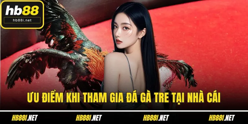 Ưu điểm khi tham gia đá gà tre tại nhà cái