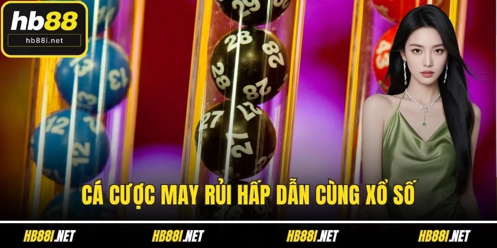 Cá cược may rủi hấp dẫn cùng xổ số