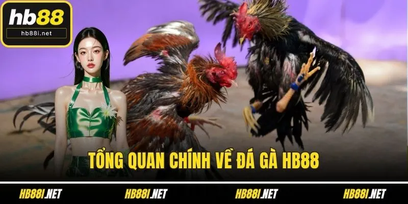 Tổng quan chính về Đá gà HB88